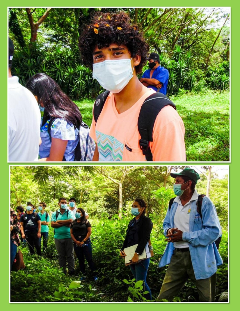 gira-campo